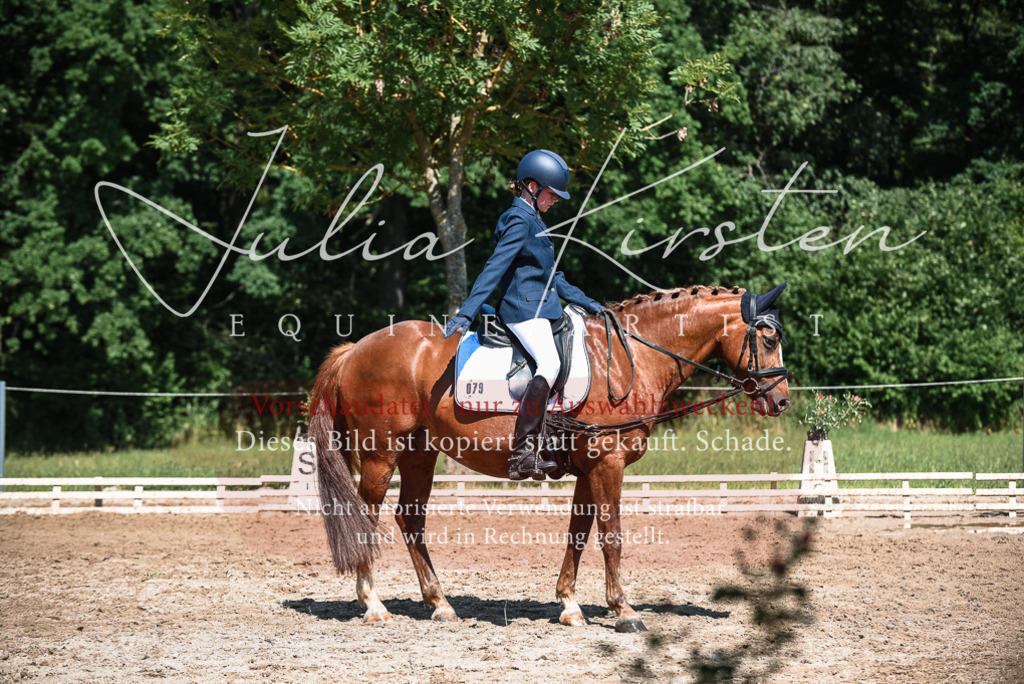 DSC_3552 | Pferde- und Turnierfotografie in Westsachsen. Pferdeportraits, Auftragszeichnungen und intuitive Kunst.