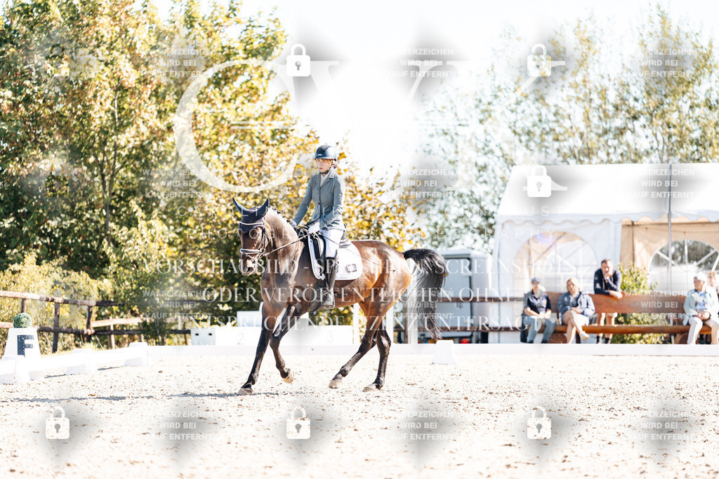 CK908818 | Turnierfotografie Pferdefotografie Trier Rheinland-Pfalz Pferdesport Reitsport Tierfotografie Sportfotografie Pferdevideo Pferdevideografie Equestrianvideography equestrianphotography  - Realisiert mit Pictrs.com
