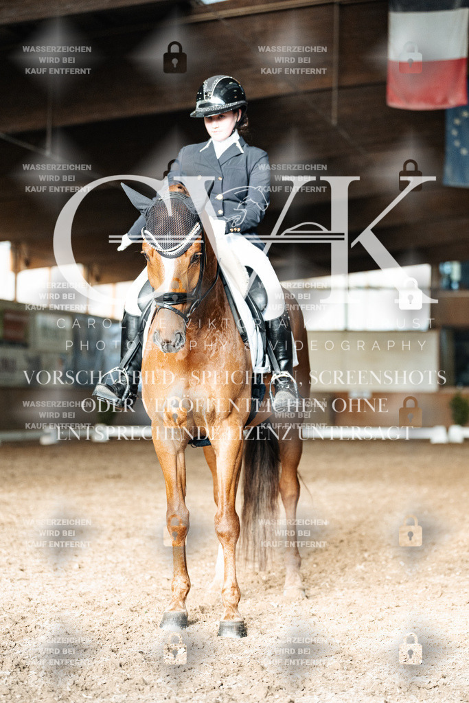 CK903184 | Turnierfotografie Pferdefotografie Trier Rheinland-Pfalz Pferdesport Reitsport Tierfotografie Sportfotografie Pferdevideo Pferdevideografie Equestrianvideography equestrianphotography  - Realisiert mit Pictrs.com