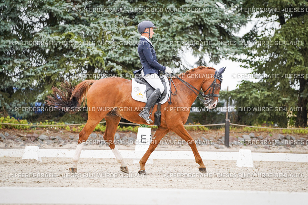 DSC08392 | Pferdegrafie