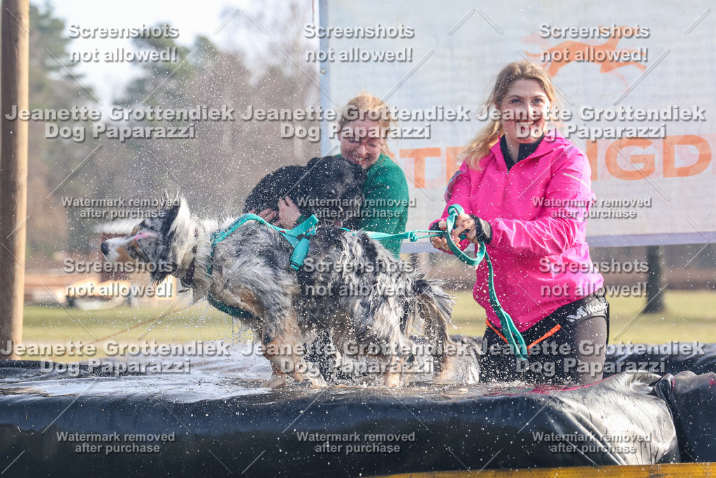 Dog Paparazzi - Strongdog North Mrz26-354 | Dog Paparazzi Jeanette Grottendiek Fotografie & Videografie - Realisiert mit Pictrs.com