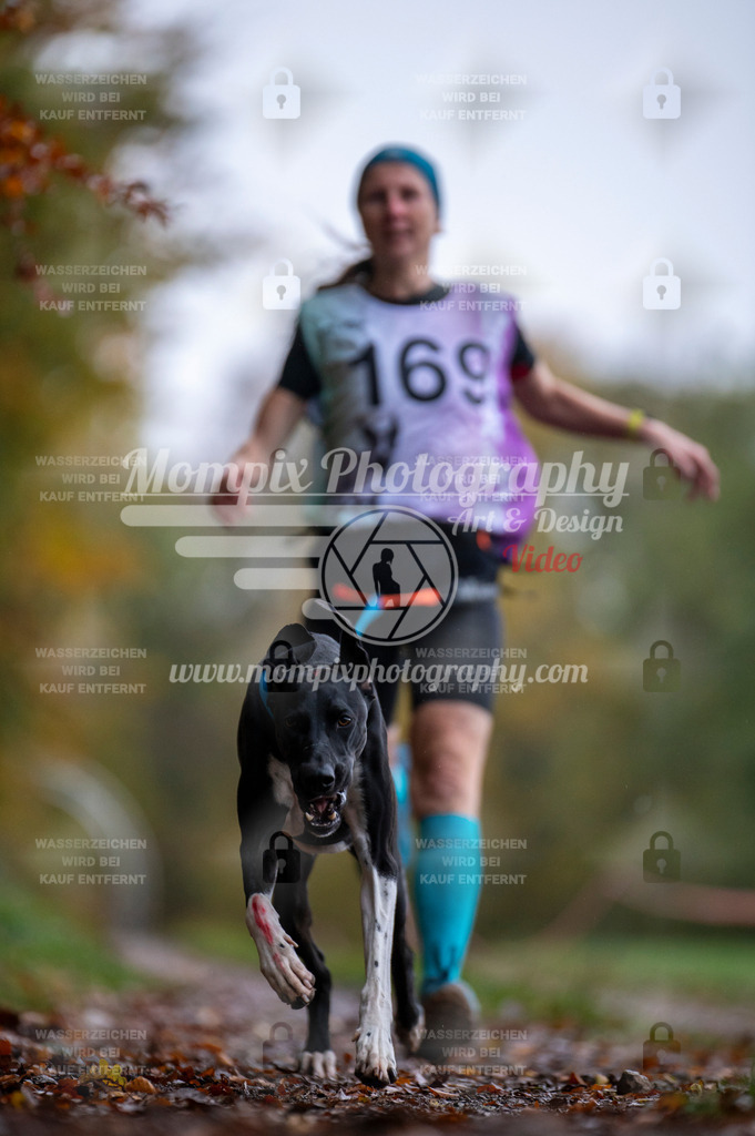 DBT_DAKM_SA_4_11_2023_Canicross-103 | PayLife