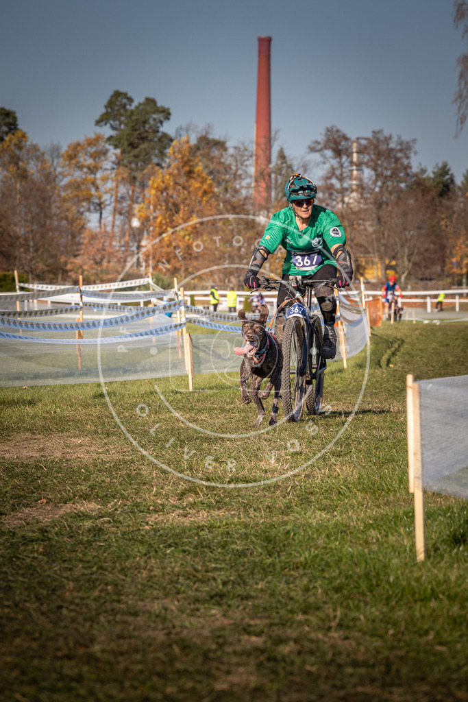 CaniXpix_0L8A6357 | Hundefotografie, Tierfotograf, Pfotenfotografie, Fotoshooting Hund, Hunde Portrait, Hundesport, Hundeportraits, Heideshooting, Hunde, Sportfotograf, Hundefotograf, Turnierhundsport, THS,  - Realisiert mit Pictrs.com