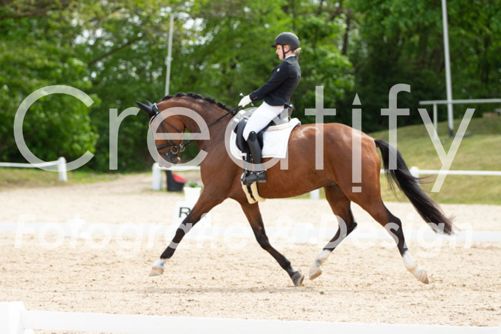 IMG_2426 | Creatify Fotografie