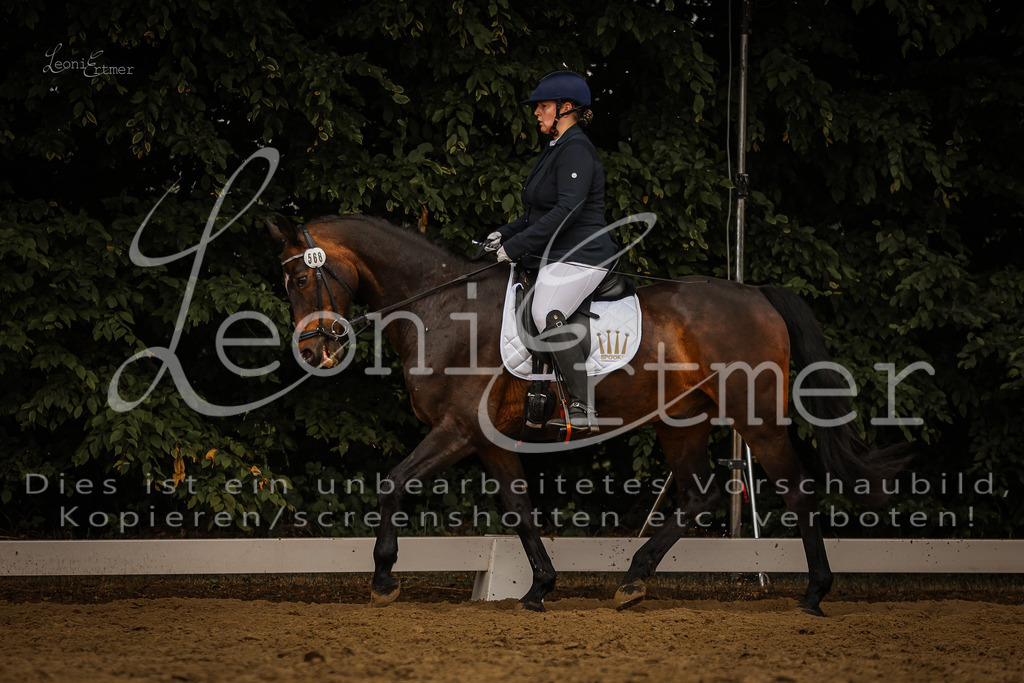 DoDrA00299 | Leoni Ertmer Photography - Realisiert mit Pictrs.com