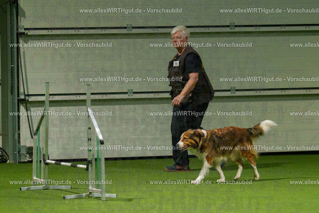 7R508804 | Professionelle Tierfotografie in Mönchengladbach von Daniel Wirth (allesWIRTHgut). Liebevolle & natürliche Bilder von Hunden & Katzen für unvergessliche Erinnerungen.