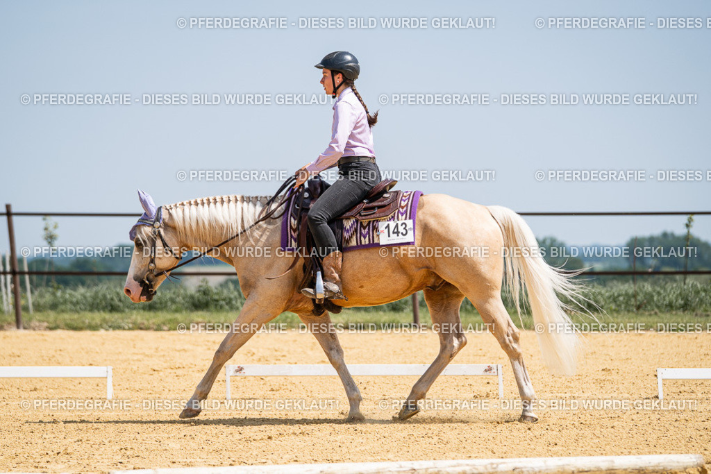 DSC01148 | Pferdegrafie