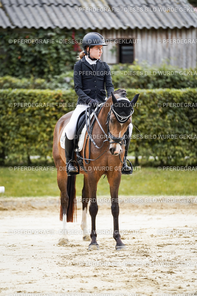 DSC04934 | Pferdegrafie