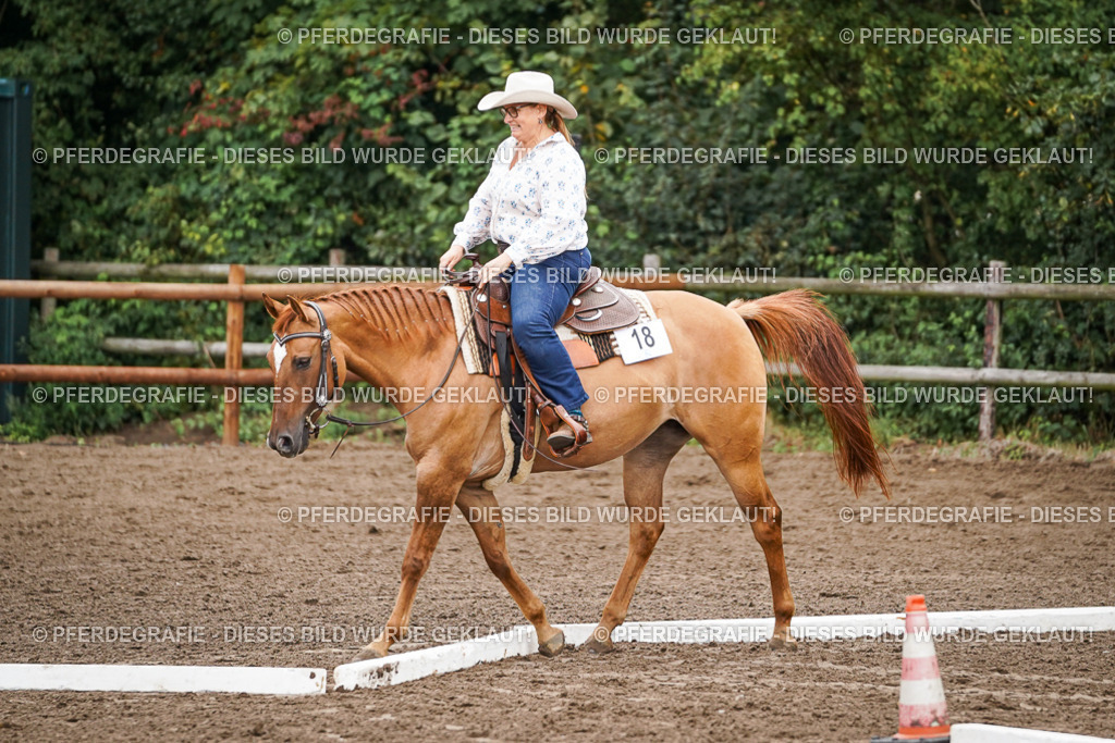 DSC02951 | Pferdegrafie