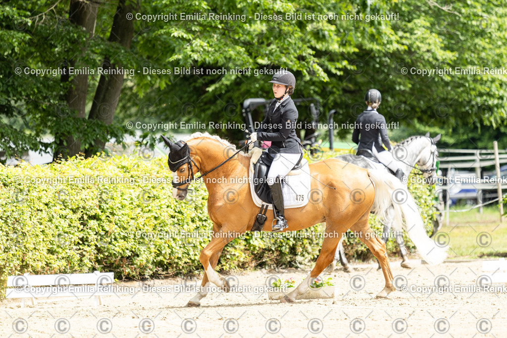 CL5A0260 | Emilia Reinking Fotografie - Realisiert mit Pictrs.com