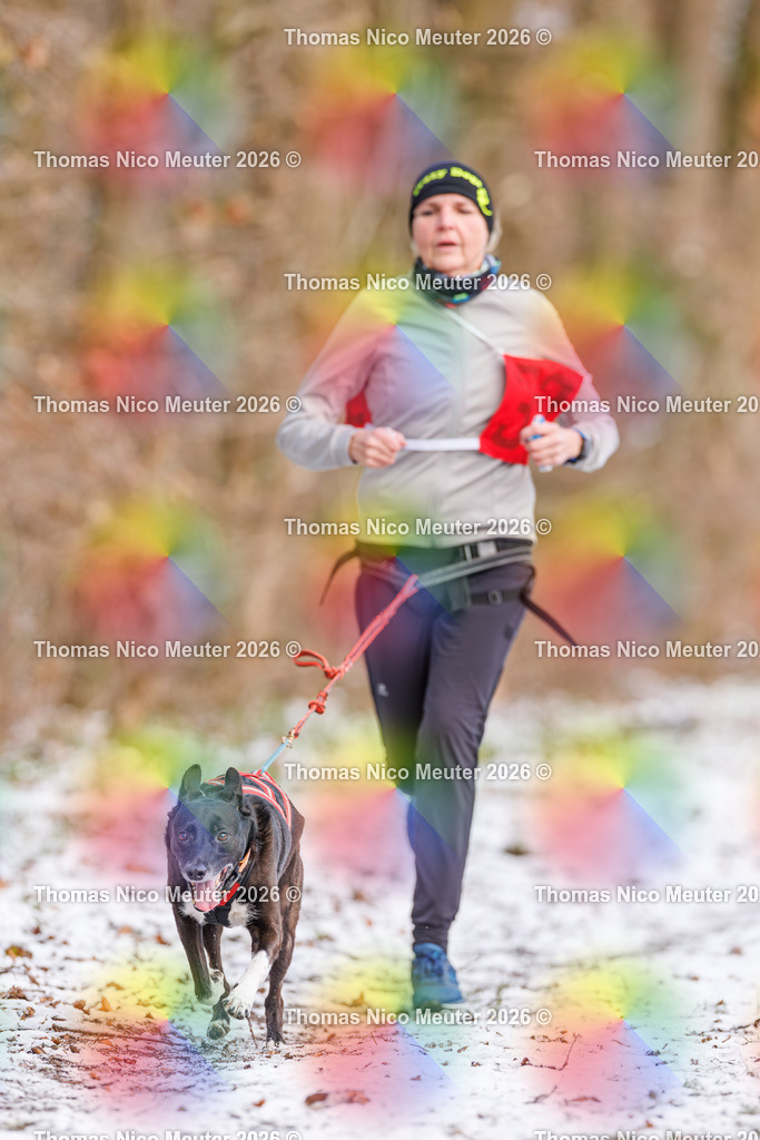 Thomas_Nico_Meuter(C)_223A8572 | Bild von Thomas Nico Meuter - Realisiert mit Pictrs.com