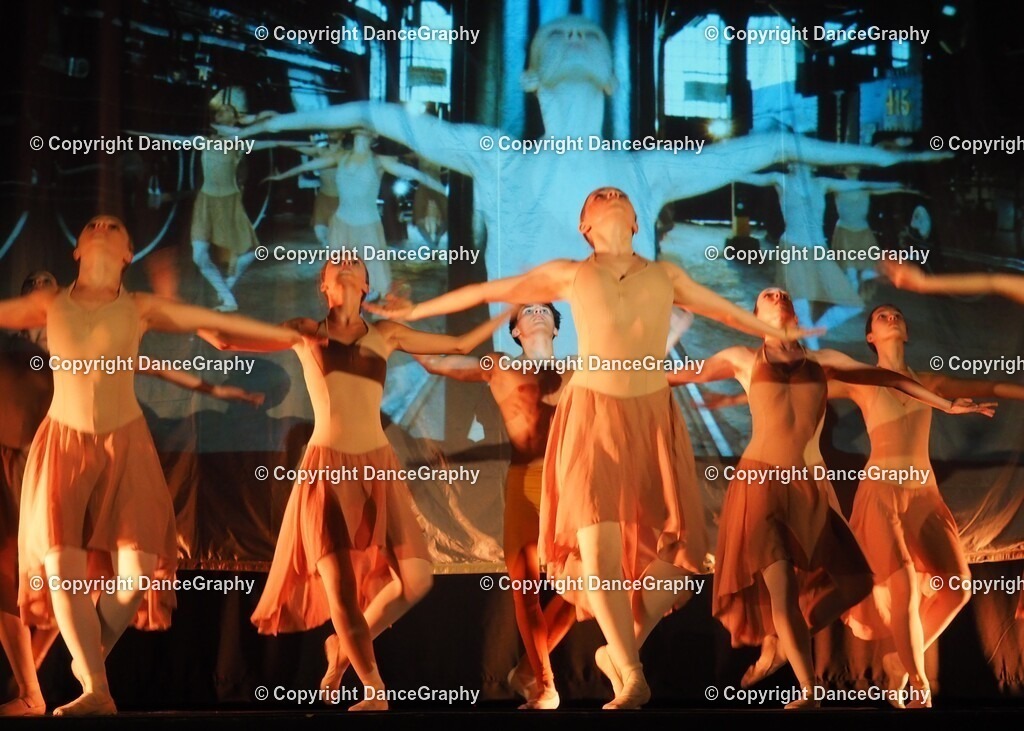 P1010976 | OLYMPUS DIGITAL CAMERA - Realisiert mit Pictrs.com