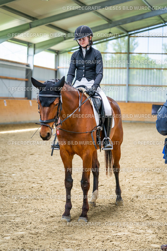 DSC03842 | Pferdegrafie