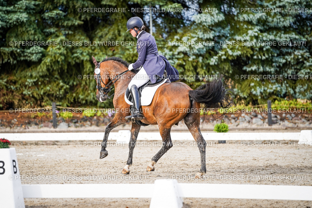 DSC00358 | Pferdegrafie