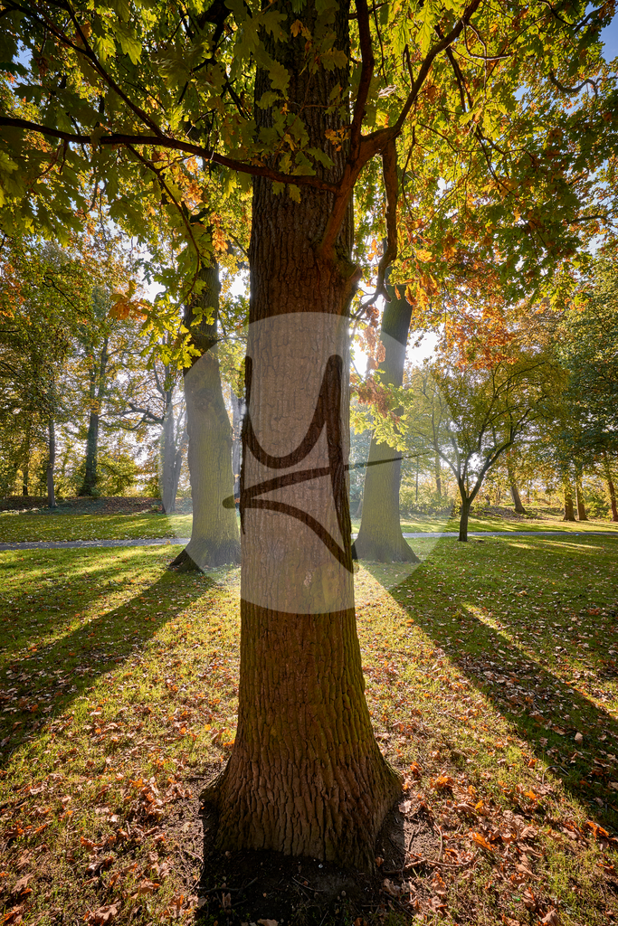 Parkanlagen im Herbst in Wolfenbüttel | Meurer Shop - Realisiert mit Pictrs.com