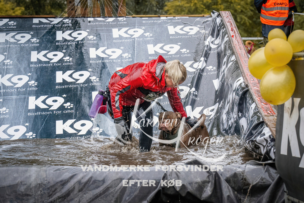1237_ZZ90288 | kk-dogfotos