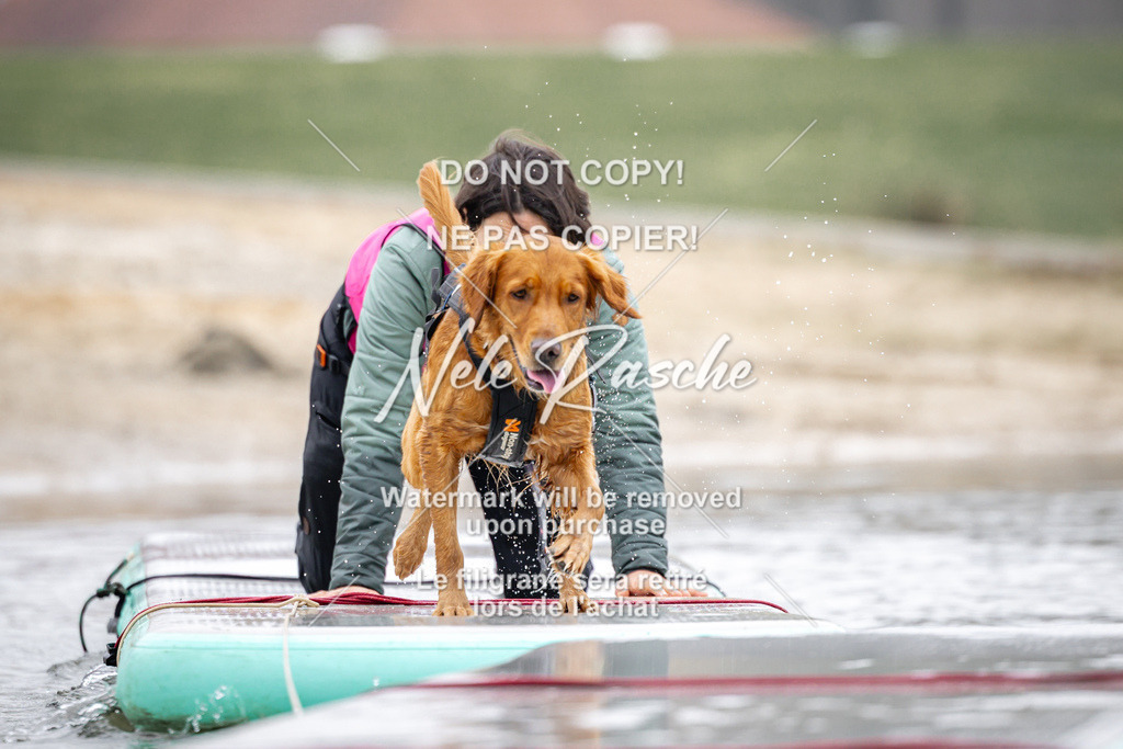 nelerasche_Hulsbeek_Sa1100-1130_217 | nelerasche