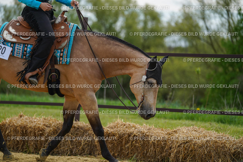 DSC03361 | Pferdegrafie