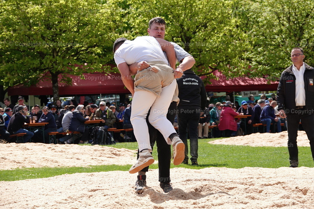 DSC00555 | Schwingen - Realisiert mit Pictrs.com