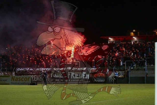 BFC Dynamo vs. BSG Chemie Leipzig 022 | mythos-online-redaktion