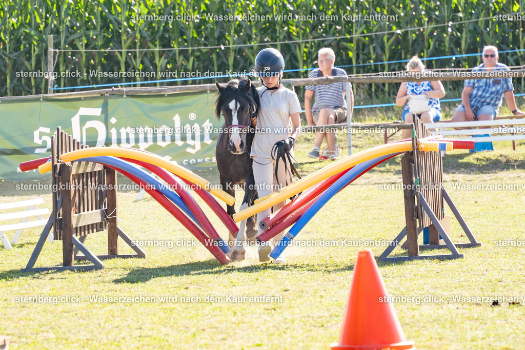 2026-08-08_15-54-07_WBO_Pulsnitz | sternberg.click - Realisiert mit Pictrs.com