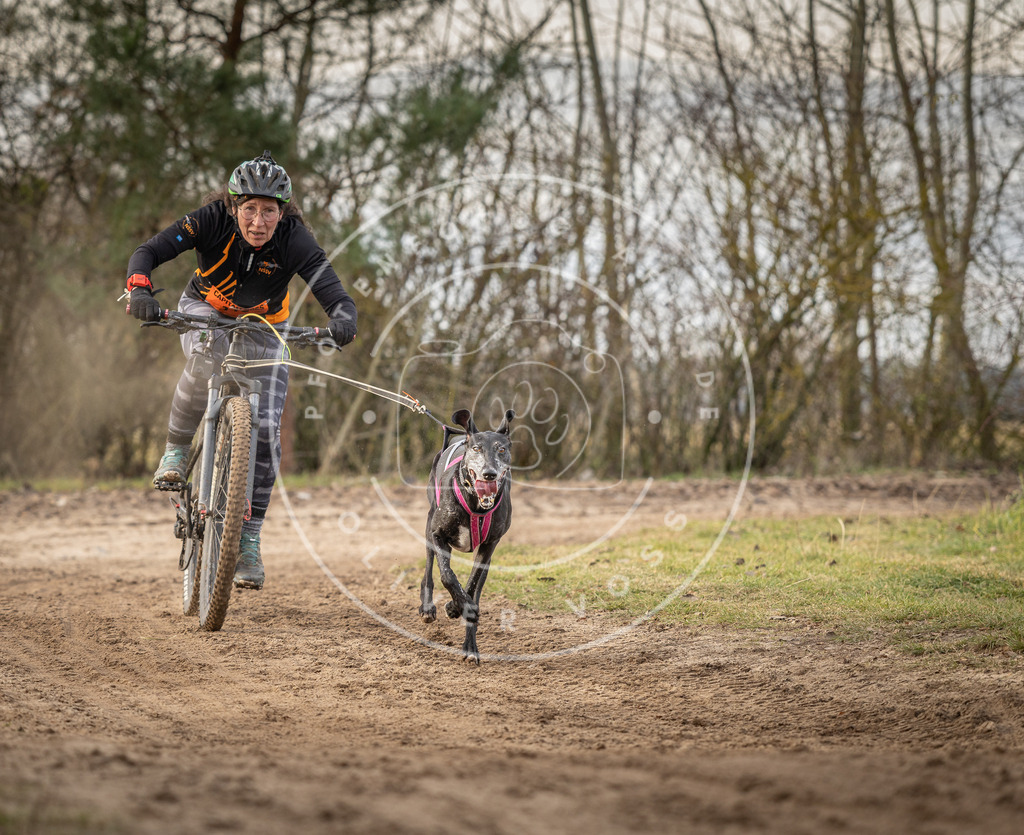 Pfotenfotografie_DV3A7795 | Hundefotografie, Tierfotograf, Pfotenfotografie, Fotoshooting Hund, Hunde Portrait, Hundesport, Hundeportraits, Heideshooting, Hunde, Sportfotograf, Hundefotograf, Turnierhundsport, THS,  - Realisiert mit Pictrs.com