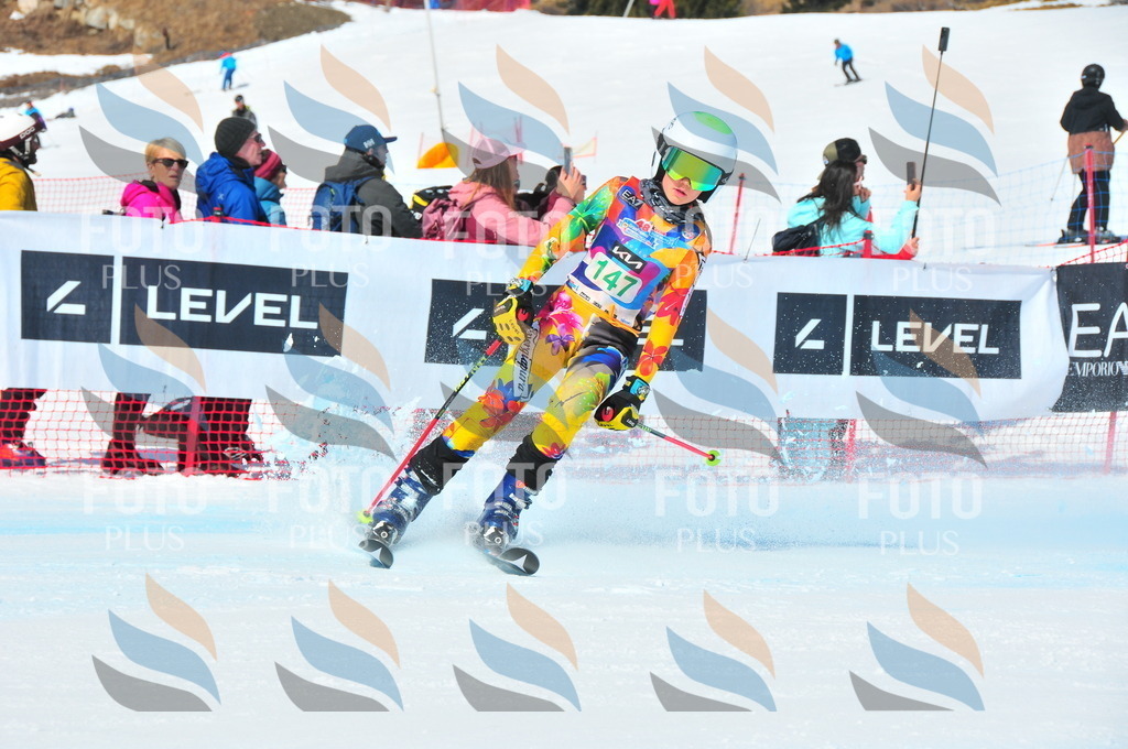 DSC_1263 | holidayphoto