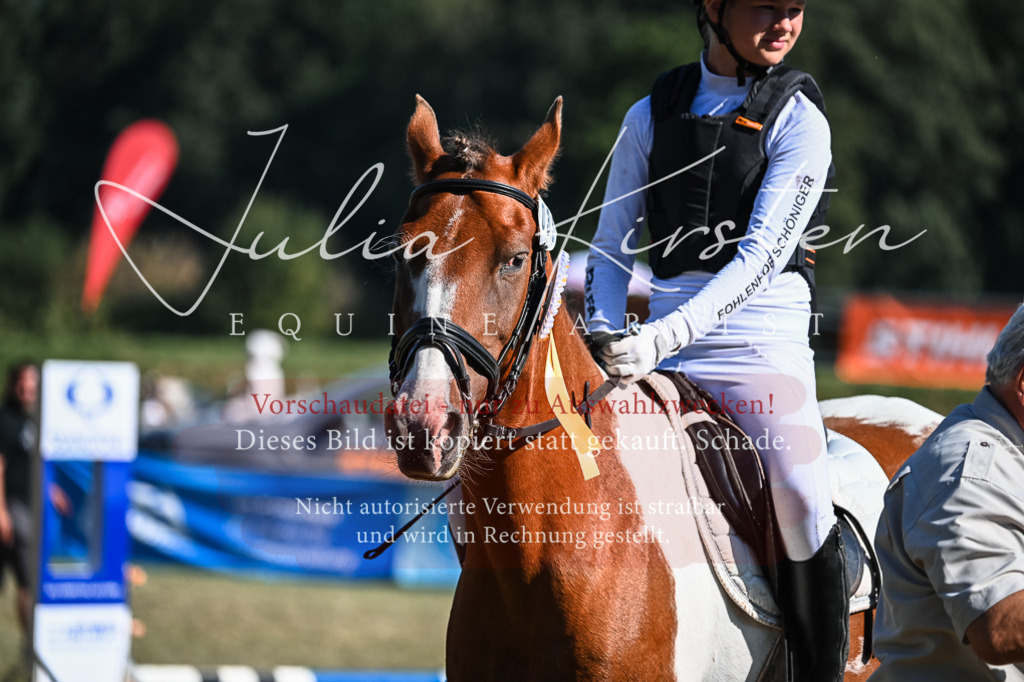 DSC_7005 | Pferde- und Turnierfotografie in Westsachsen. Pferdeportraits, Auftragszeichnungen und intuitive Kunst.