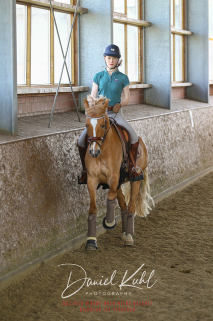 DKP42524 | Turniersportfotografie; Pferdefotografie; Dressurfotografie