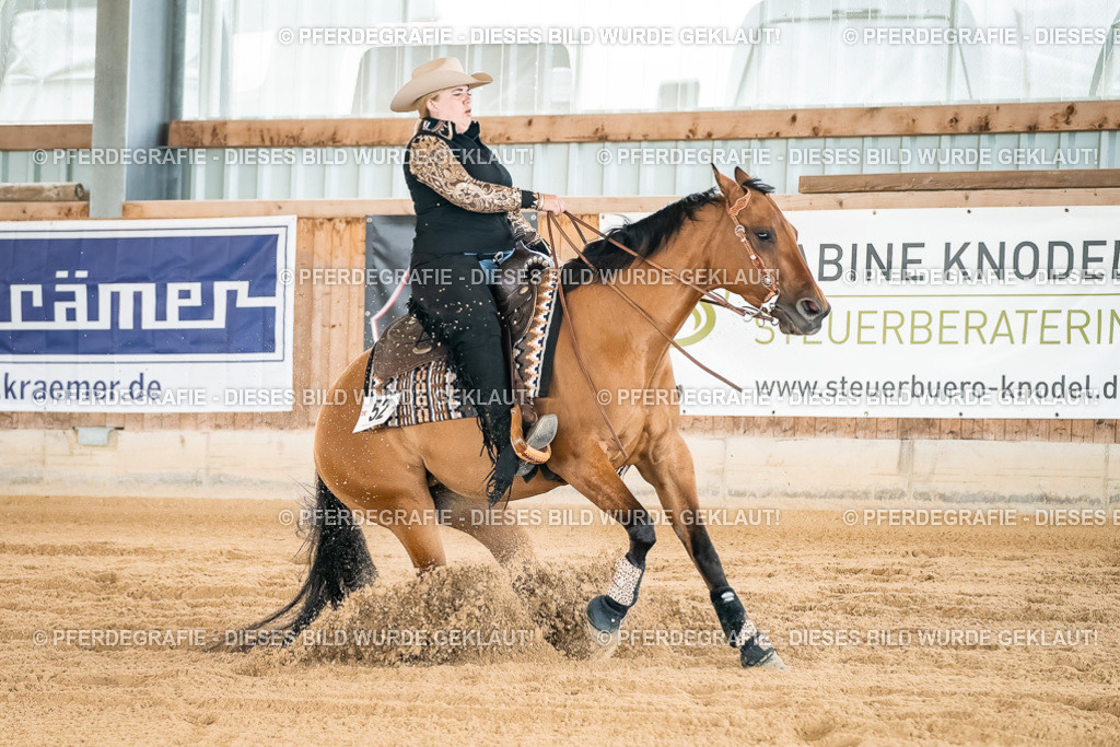 DSC03087 | Pferdegrafie