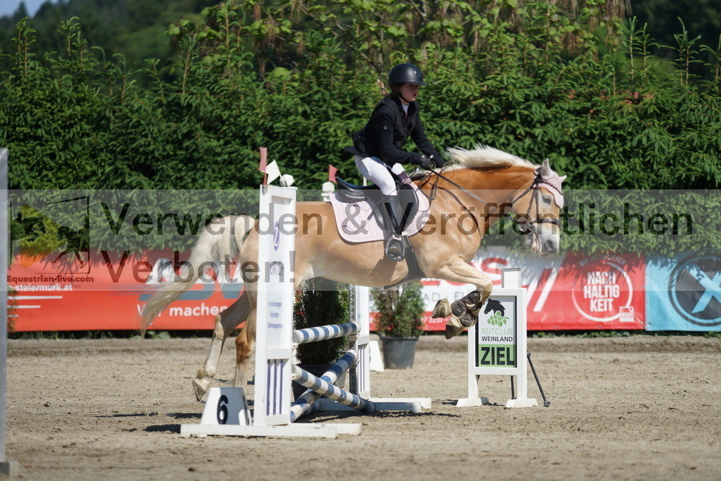 DSC06156 | equestrian-live-com