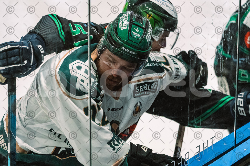Alligators_vs_Erding_12_12_2025-046 | Höchstadt Alligators Fotogalerie: Eishockey-Action aus Franken. Professionelle Spielfotos, Portraits & Stadionbilder zum Download. Jetzt entdecken! - Realisiert mit Pictrs.com