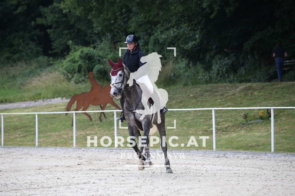 DL2Q2709 | Willkommen bei Brunnmayr - Design & Fotografie – Ihrem Spezialisten für Reitturniere und Pferdeveranstaltungen in Oberösterreich, Salzburg und Bayern! Seit über 17 Jahren sind wir leidenschaftlich dabei.