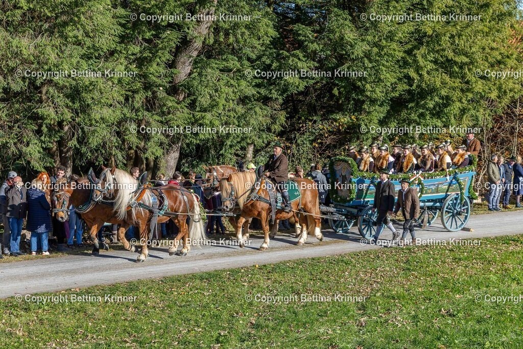 LBT25-844 | foto-bettina-krinner - Realisiert mit Pictrs.com