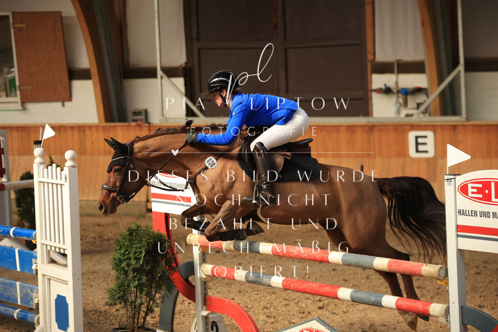 IMGT0573 | pl-fotografie