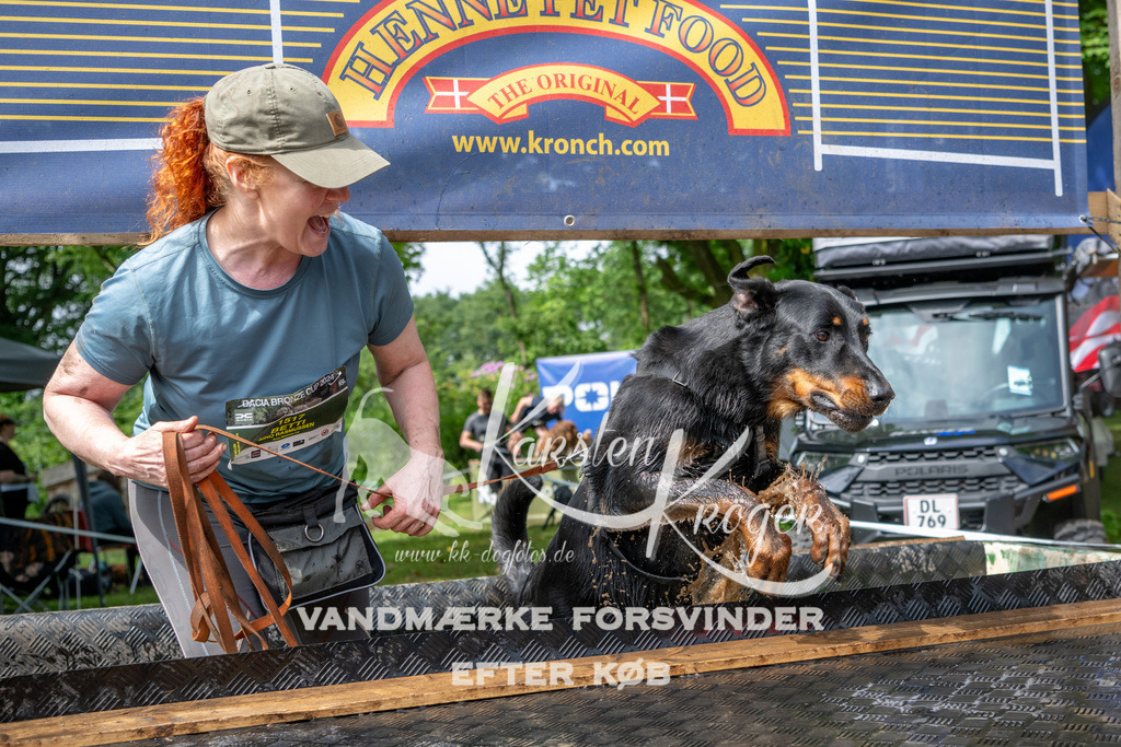 1031_ZZ91132 | kk-dogfotos