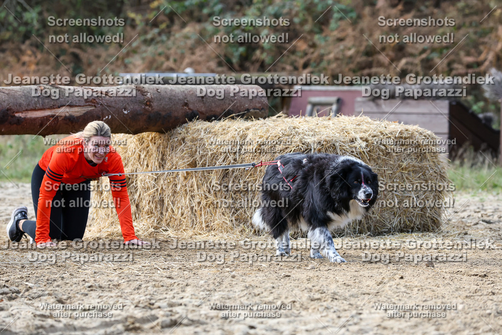 Dog Paparazzi - Strongdog 10-25-5441 | Dog Paparazzi Jeanette Grottendiek Fotografie & Videografie - Realisiert mit Pictrs.com