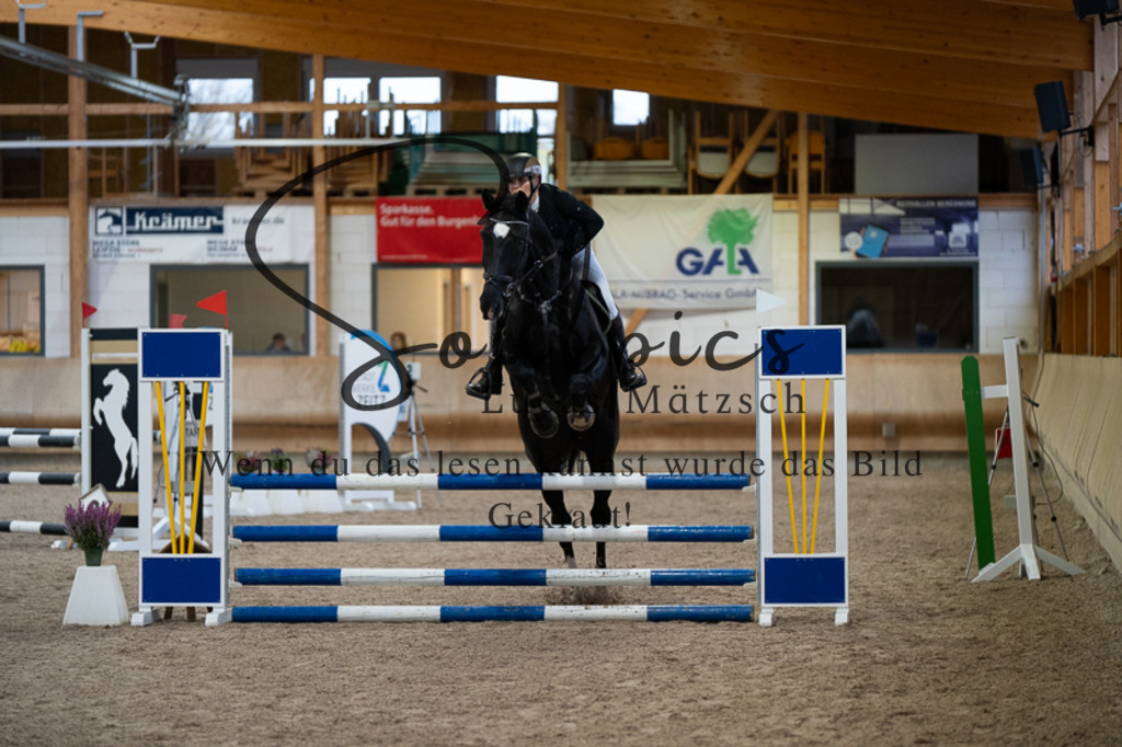 A7V03138 | Pferdefotograf