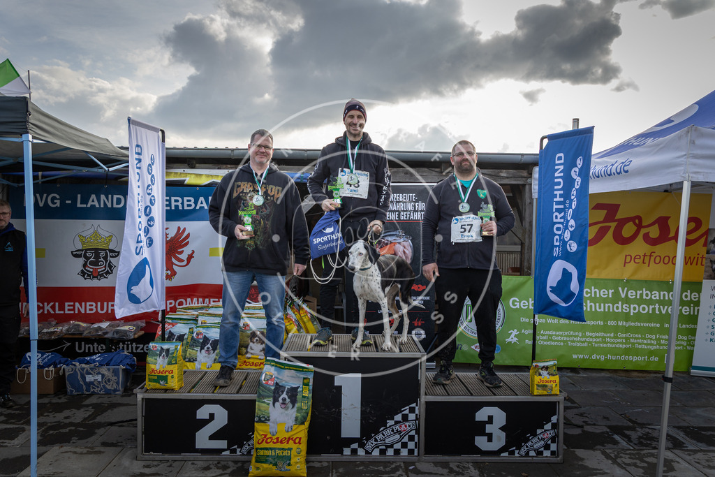 0L8A9146 | Hundefotografie, Tierfotograf, Pfotenfotografie, Fotoshooting Hund, Hunde Portrait, Hundesport, Hundeportraits, Heideshooting, Hunde, Sportfotograf, Hundefotograf, Turnierhundsport, THS,  - Realisiert mit Pictrs.com