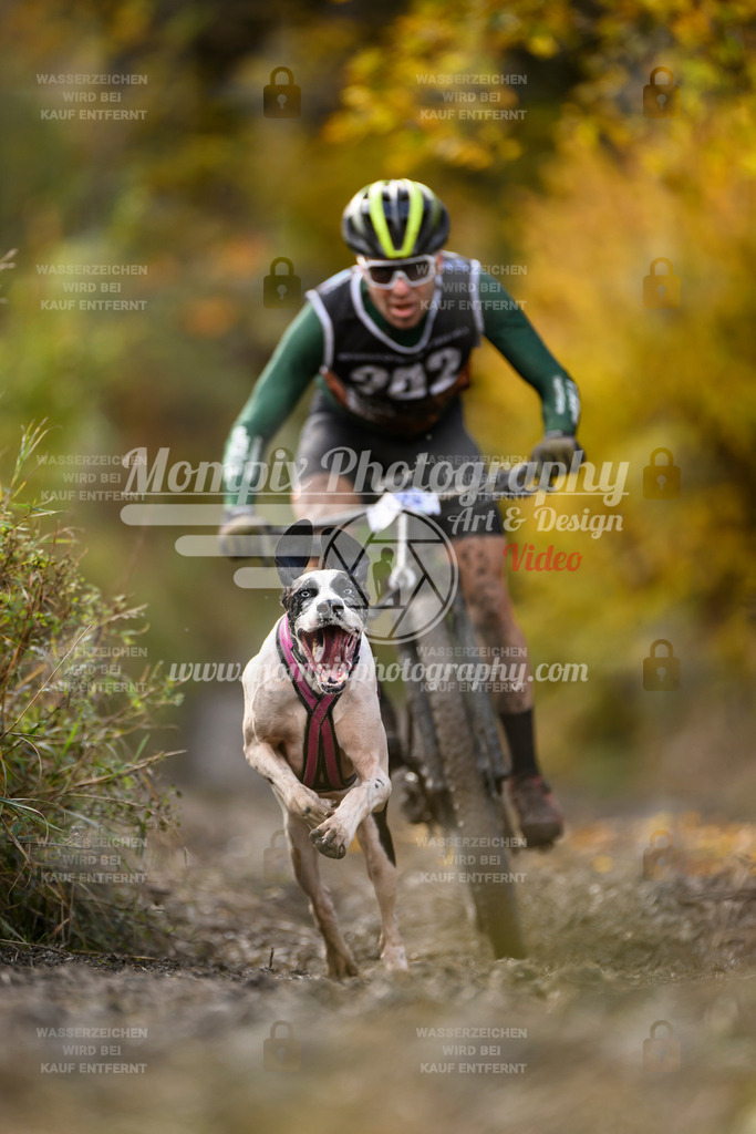 MompixPhotography_ICF_WC_2024_SA_Bike_-310 | PayLife