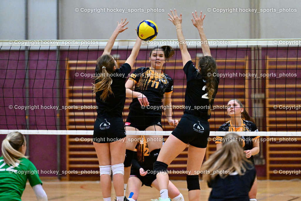 ASKÖ Volley Eagles Villach vs. VC Hausmannstätten | #5 RAUCH Julia VC Hausmannstätten, #2 WAILLAND Katharina VC Hausmannstätten, #11 Ilvie HOFER ASKÖ Volley Eagles Villach, #10 СЕНІС Еlwira ASKÖ Volley Eagles Villach, ASKÖ Volley Eagles Villach vs. VC Hausmannstätten, ASKÖ Volley Eagles Villach vs. VC Hausmannstätten am 01.02.2025 in Villach (Ballspielhalle Lind), Austria, (Photo by Bernd Stefan)