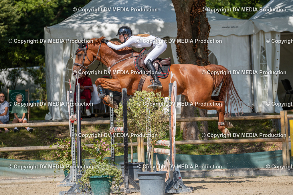 Hessische Tag 1-1606 | dv-media-shop - Realisiert mit Pictrs.com