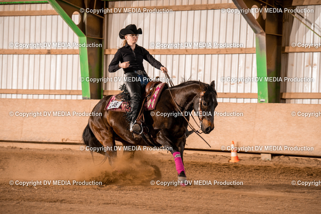 BA301197 | dv-media-shop - Realisiert mit Pictrs.com