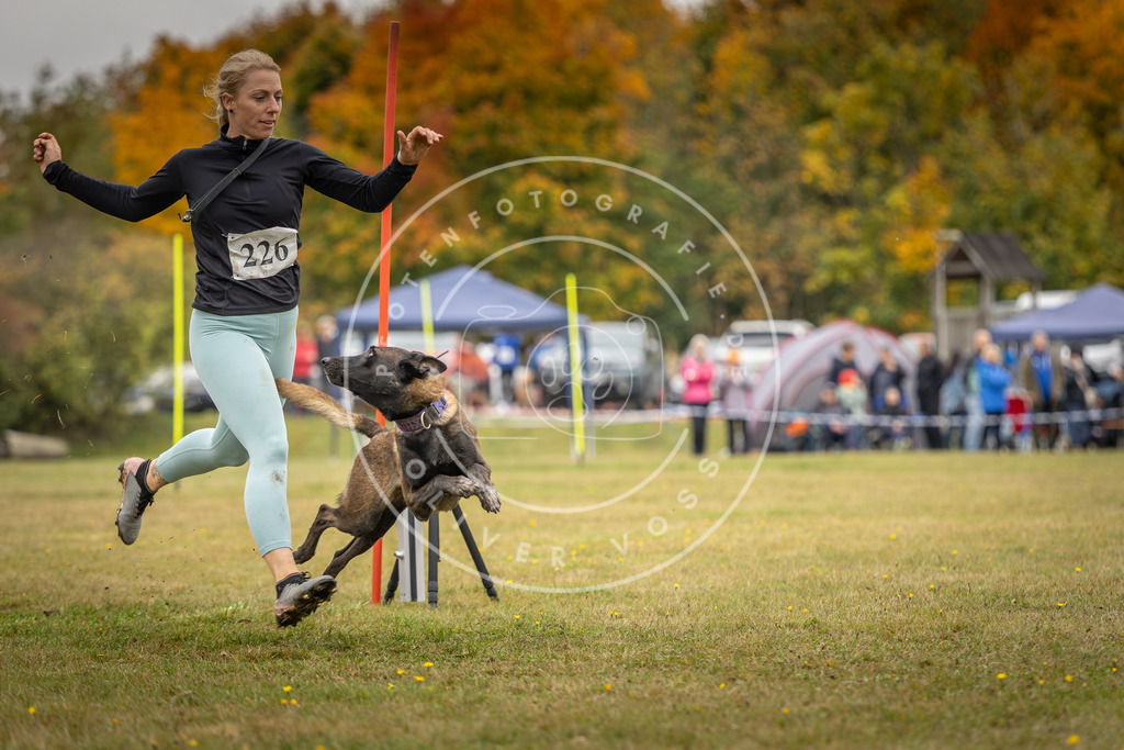Pfotenfotografie_DV3A3989 | Hundefotografie, Tierfotograf, Pfotenfotografie, Fotoshooting Hund, Hunde Portrait, Hundesport, Hundeportraits, Heideshooting, Hunde, Sportfotograf, Hundefotograf, Turnierhundsport, THS,  - Realisiert mit Pictrs.com
