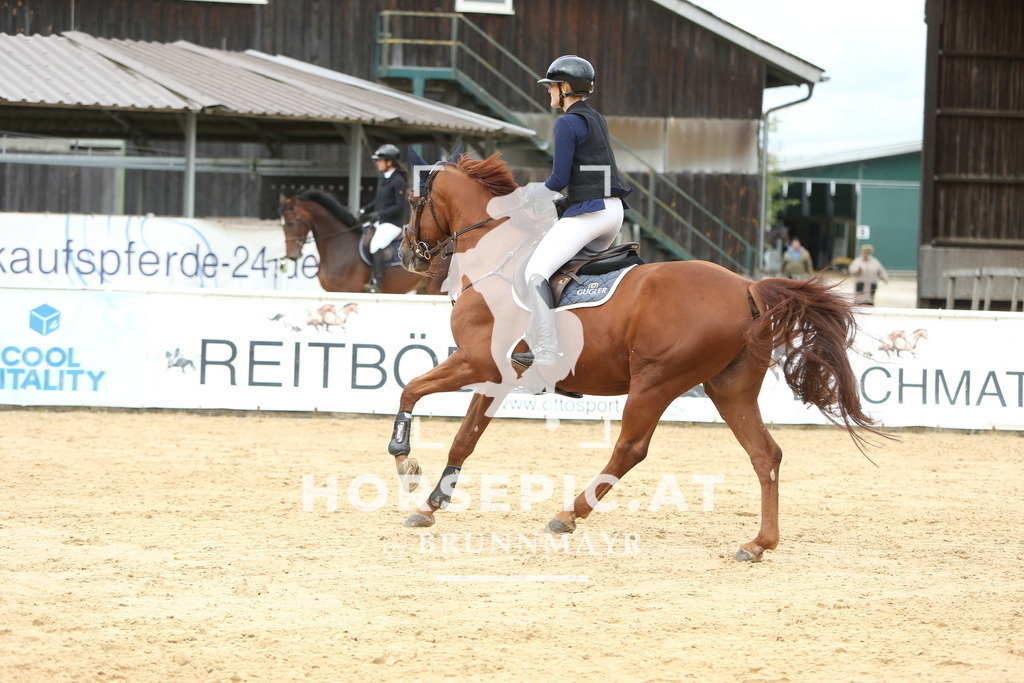 DL2Q5394 | Willkommen bei Brunnmayr - Design & Fotografie – Ihrem Spezialisten für Reitturniere und Pferdeveranstaltungen in Oberösterreich, Salzburg und Bayern! Seit über 17 Jahren sind wir leidenschaftlich dabei.