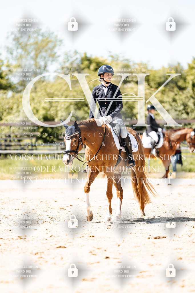 CK905721 | Turnierfotografie Pferdefotografie Trier Rheinland-Pfalz Pferdesport Reitsport Tierfotografie Sportfotografie Pferdevideo Pferdevideografie Equestrianvideography equestrianphotography  - Realisiert mit Pictrs.com
