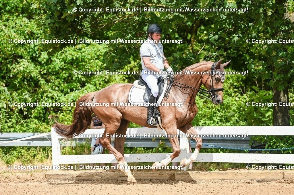 20230716_01_Dressurprüfung Kl.M_0077 | equistock