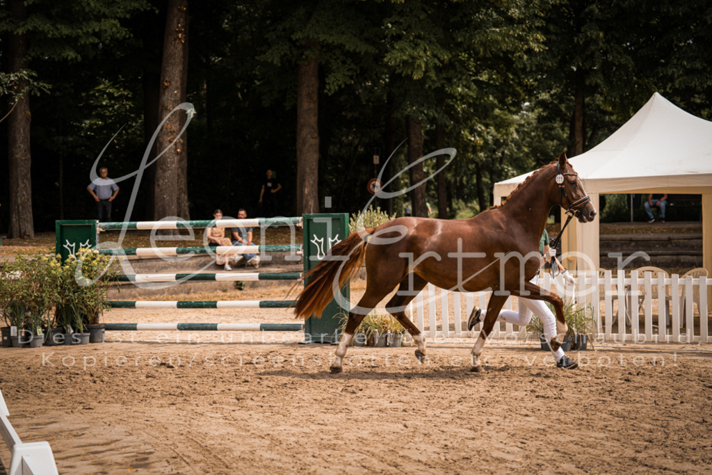 3.Fr00091 | Leoni Ertmer Photography - Realisiert mit Pictrs.com