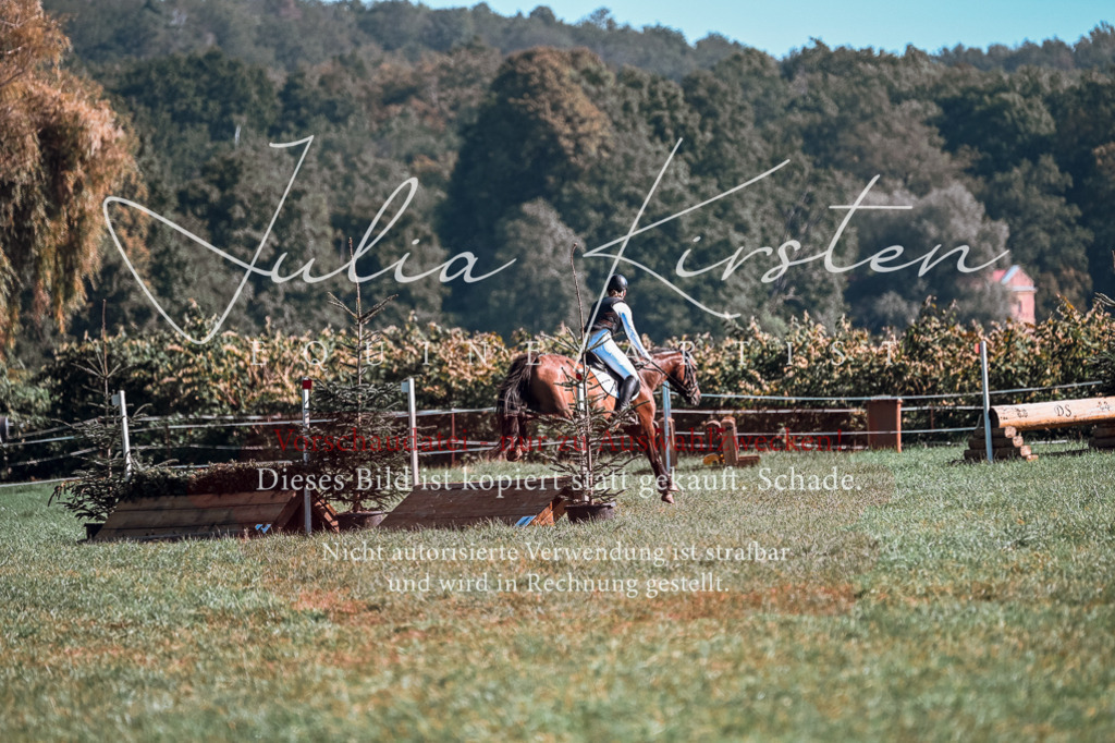 DSC_0679 | Pferde- und Turnierfotografie in Westsachsen. Pferdeportraits, Auftragszeichnungen und intuitive Kunst.