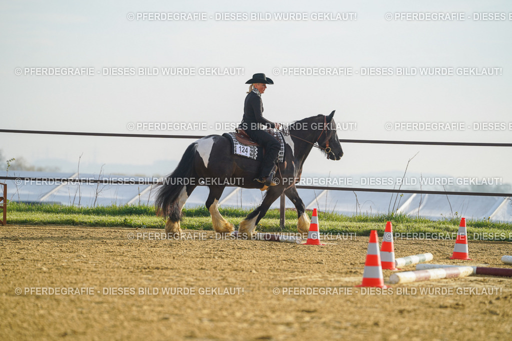 DSC09931 | Pferdegrafie